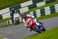 cadwell-no-limits-trackday;cadwell-park;cadwell-park-photographs;cadwell-trackday-photographs;enduro-digital-images;event-digital-images;eventdigitalimages;no-limits-trackdays;peter-wileman-photography;racing-digital-images;trackday-digital-images;trackday-photos